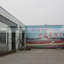 Wulian Changtai Machinery Manufacturing Co., Ltd. company overview - view 3 thumbnail