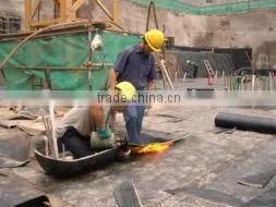 SBS Torch on Modified Bitumen Waterproof Membrane thumbnail-5