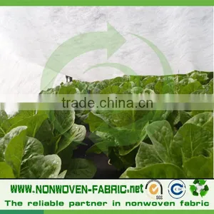 Polypropylene 100% Spunbond Non Woven Fabric for Frost Protection Garden Plant Cover thumbnail-1
