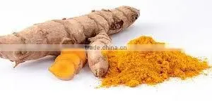 Organic Fresh Turmeric thumbnail-1