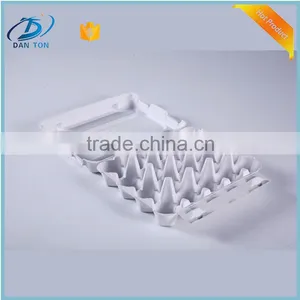 Disaposable Clear Chicken Eggs Tray thumbnail-1