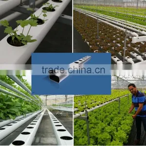 Vegetable Greenhouse Hydroponic Systems thumbnail-1