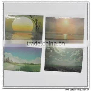 2012 Polarized Sunglasses Test Cards thumbnail-1
