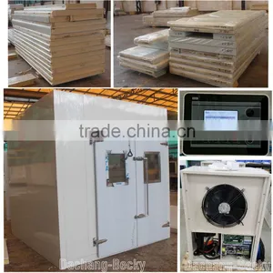 Polyurethane Cold Room Refrigerator and Freezers With Compressor thumbnail-1
