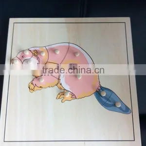 Arabic Educational Toys thumbnail-1