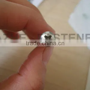 Stainless Steel Philips Pan Head Self-tapping Screw thumbnail-1