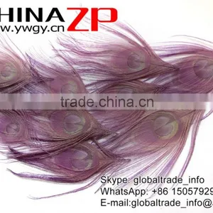 Leading Supplier CHINAZP Wholesale High Quality Dyed Purple Trimmed Short Peacock Feathers for Earrings thumbnail-4
