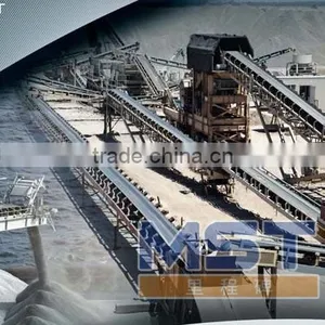 DTII Belt Conveyor thumbnail-1
