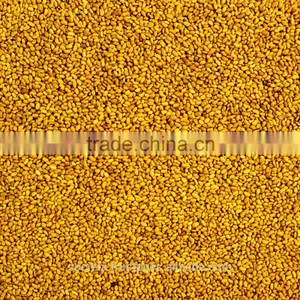 Australian Lucerne Seed thumbnail-1