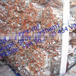 VIETNAM CINNAMON thumbnail-3