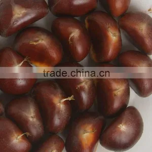 2012 Honey Fresh Chestnut thumbnail-1