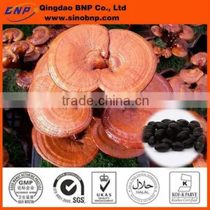 BNP Supply High Quality Reishi Mushroom Capsule thumbnail-1