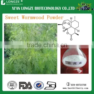 Factory Large Stock Sweet Wormwood Extract Artemisinin 99% thumbnail-1