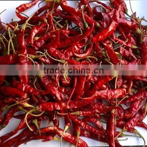 Exporters of Premium Grade Dried Red Chilli for Worldwide Importers thumbnail-6