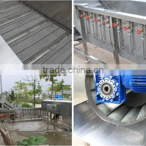 LXTP-5000 Large Type Screw Vegetable Waher and Peeler /multifunctional Root Vegetable Washing and Peeling Machine thumbnail-5