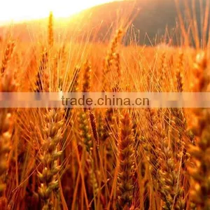 2016 China Wide Varieties Monopotassium Phosphate thumbnail-3