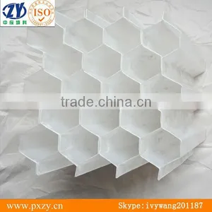 Plastic Honeycomb Filter,PP Plastic Honeycomb,Honeycomb Inclined Pipe,Plastic Hexagon Honeycomb Packing thumbnail-1
