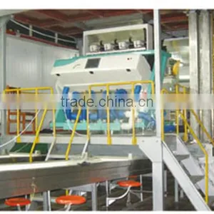 Peanut CCD Color Sorter Line thumbnail-1