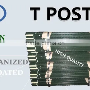 Metal T Bar Fence Post for Farm Fencing thumbnail-5