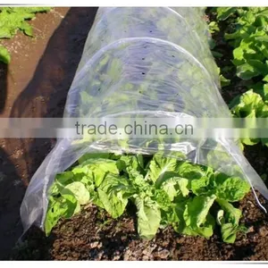 High Quality Greenhouse Film, UV Protection Agricultural Film, Low Price Agricultural Membrane thumbnail-2