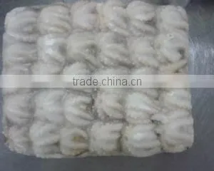 Anlong Company Limited company overview - view 2 thumbnail
