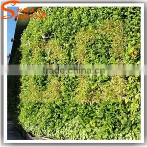 Latest Design Garden Vertical Green Wall Factory Price Grass Wall Decor Decoration Beautiful Fake Grass for Crafts thumbnail-6
