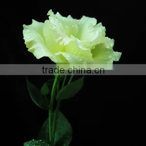 Eustoma Wedding Lisianthus Occasion and Decorative Flowers&Wreaths Fresh Lisianthus Flower thumbnail-5