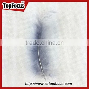 Any Color Cleaning Down Turkey Feather for Hat Wedding Decoration thumbnail-4