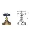 Bronze Globe Valve CLASS 150 thumbnail-1