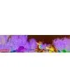 8.8KW and 5 Rings / Min Children Amusement Outdoor Merry Go Round Fairy Hippocampi thumbnail-1