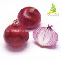 Fresh Onions Red Onions thumbnail-1