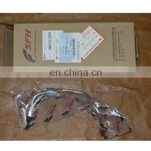 SAIC-IVECO High Pressure Fuel Inlet Pipe FAT5801512268 thumbnail-1