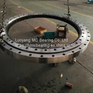 Factory Excavator Slewing Ring Bearing Case thumbnail-1