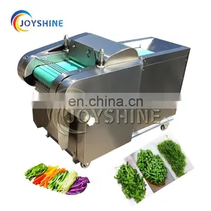 Professional Stainless Steel Electric Cabbage Onion Cutting Machine Slicer thumbnail-5