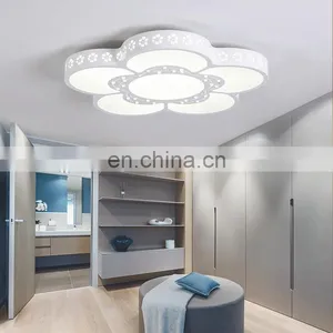 Modern Simple Atmosphere LED Living Room Ceiling Lamp Creative Iron Acrylic Bedroom Study Lighting thumbnail-1