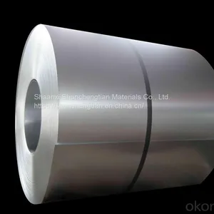 Prime Ral Color New Prepainted Galvanized Steel Coil PPGI PPGL Hdgl Hdgi Steel Coil 304 Stainless Steel Coil Stock thumbnail-1