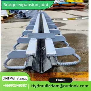 High-Performance Bridge Expansion Joint - Smooth & Reliable Operation thumbnail-4