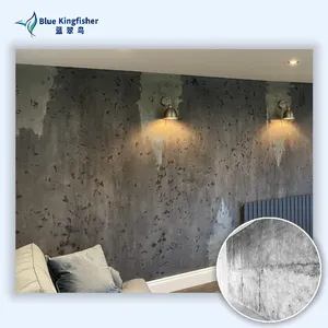Venetian Plaster - Manufacturer Direct Supply for High-End Residences & Luxury Villas, Artistic Texture, Matte Elegance, Sufficient Stock thumbnail-2