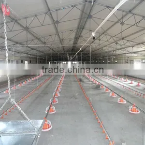 High Quality Automatic Poultry Farming Equipment thumbnail-5
