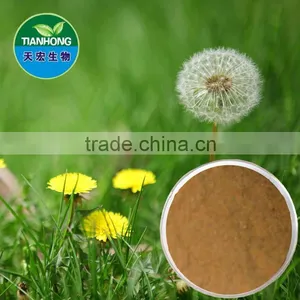 Dandelion Taraxacum Mongolicum Herba Taraxaci Extract Flavones thumbnail-1