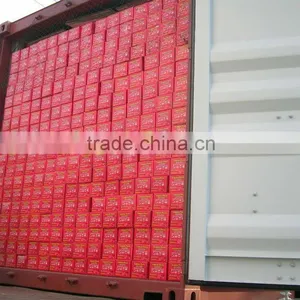 Tomato Paste in Sachet Brix 28-30%,22-24% thumbnail-1