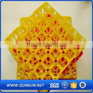 Multifunctional Hot Sales Plastic Eggs Tray New thumbnail-4