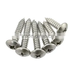 Stainless Steel Cross Flat Head Tapping Screw Thumb Head Tapping Screw thumbnail-2