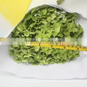 Fragrant Aroma Hot-sale Hydrangea Flower thumbnail-4