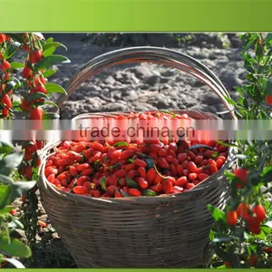 Dried Goji Fruit thumbnail-1