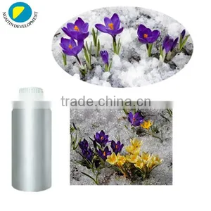 100 Pure and Natural SAFFRON Oil thumbnail-1