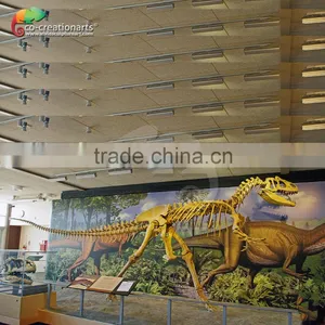 Dinosaur Fossil Replica for Dinosaur Museum Educational Sample thumbnail-3