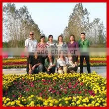 Zhengzhou Solon Import & Export Trading Co., Ltd. company overview - view 2 thumbnail