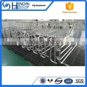 Pig Farm Pen Sow Gestation Crate thumbnail-4
