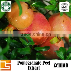 Punicalagins Pomegranate Extract for 40% Punicalagins Extract thumbnail-1